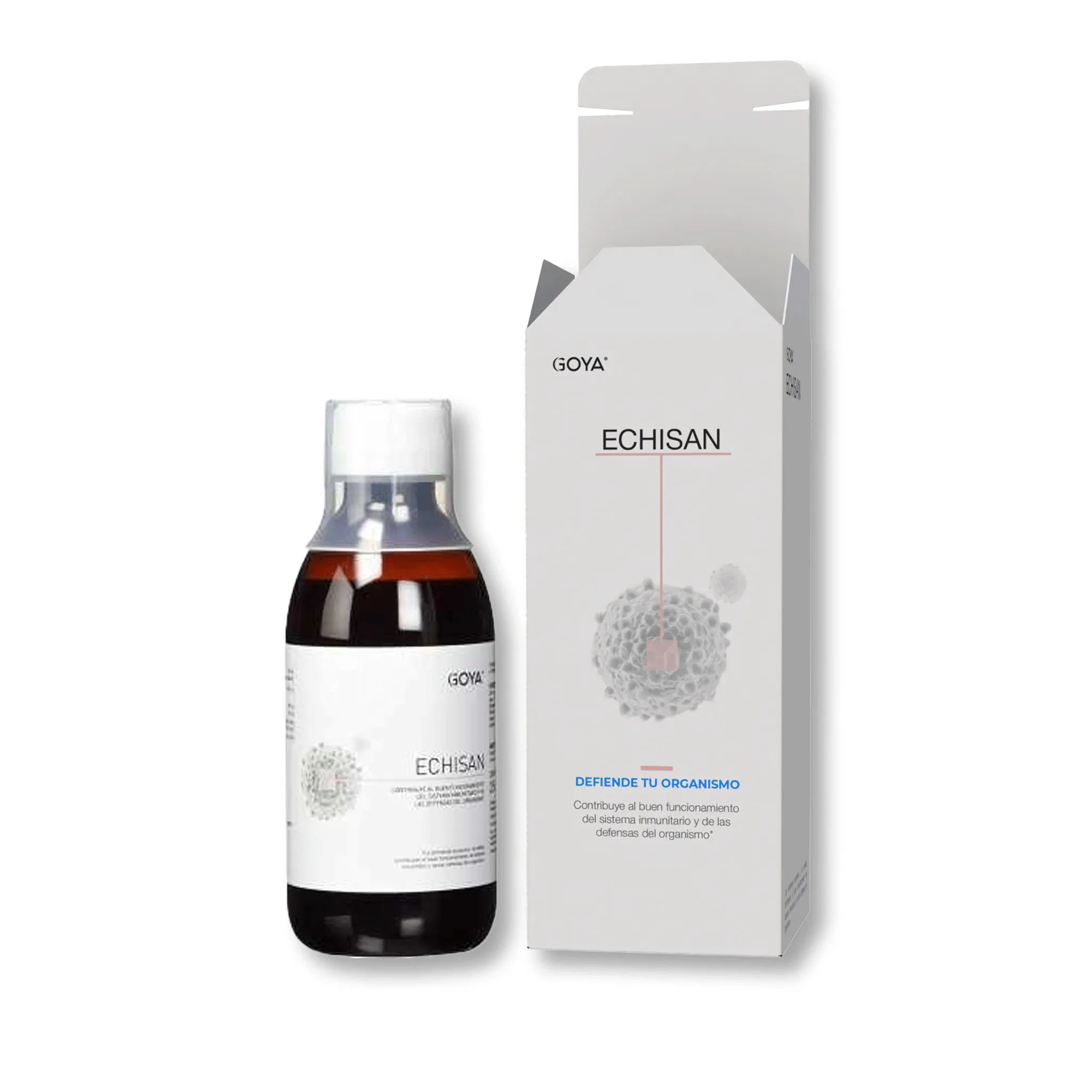 Botella de Echisan jarabe para el resfriado con Echinacea concentrada - vista frontal